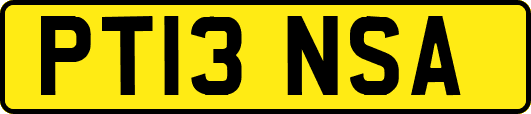 PT13NSA