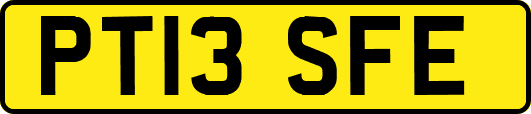 PT13SFE