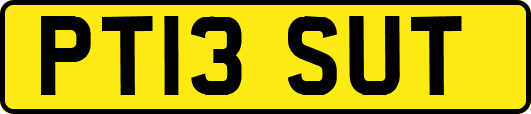 PT13SUT