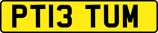 PT13TUM