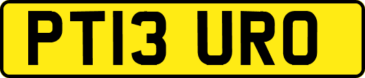 PT13URO