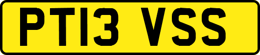 PT13VSS
