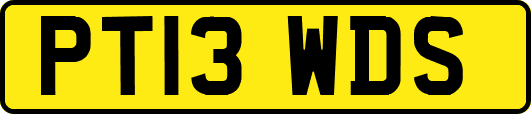 PT13WDS