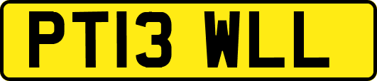 PT13WLL