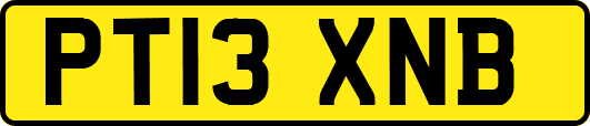 PT13XNB