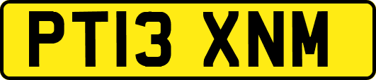 PT13XNM