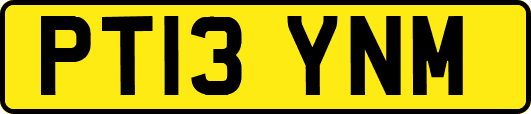 PT13YNM