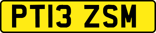 PT13ZSM