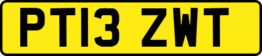 PT13ZWT