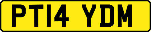 PT14YDM