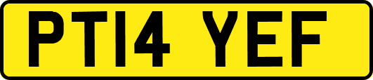 PT14YEF