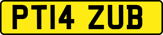 PT14ZUB
