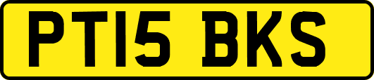 PT15BKS