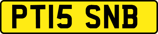 PT15SNB