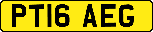 PT16AEG