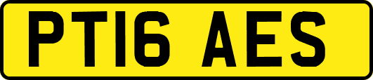 PT16AES