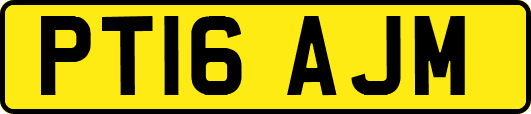PT16AJM