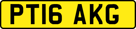 PT16AKG