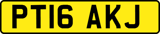 PT16AKJ