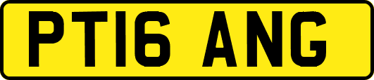 PT16ANG