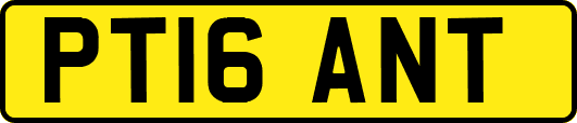 PT16ANT