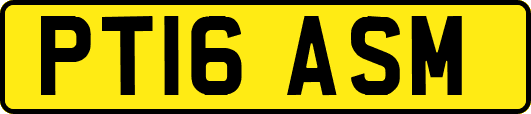 PT16ASM