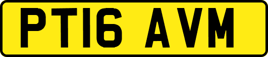 PT16AVM