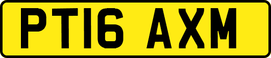 PT16AXM