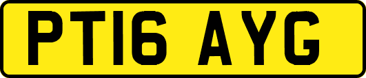 PT16AYG