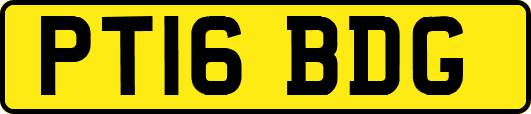 PT16BDG