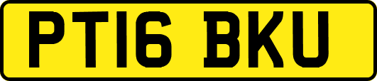 PT16BKU