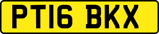 PT16BKX