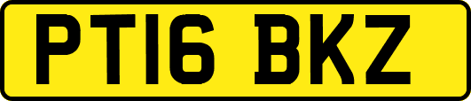 PT16BKZ
