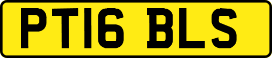 PT16BLS