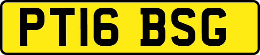 PT16BSG