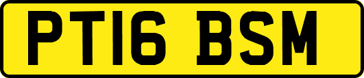 PT16BSM