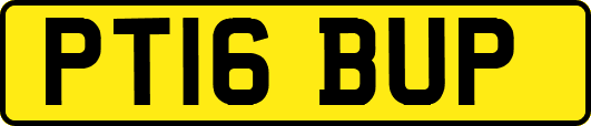 PT16BUP
