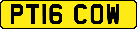 PT16COW