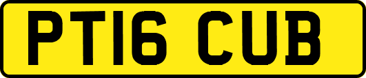 PT16CUB
