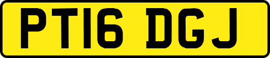 PT16DGJ