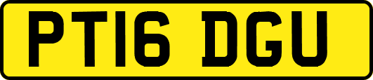 PT16DGU