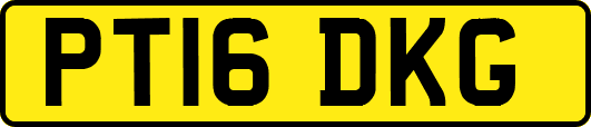 PT16DKG