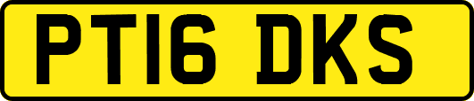 PT16DKS