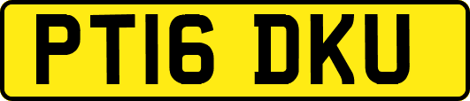 PT16DKU