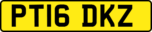 PT16DKZ