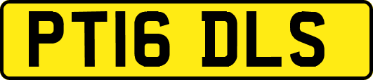 PT16DLS