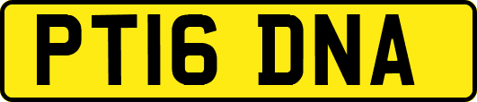 PT16DNA