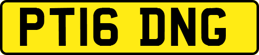 PT16DNG