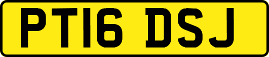 PT16DSJ