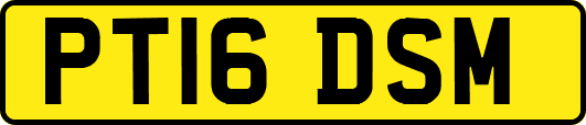 PT16DSM
